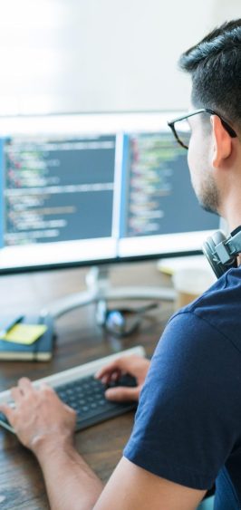 Rear view of young Latin software developer programming while working from home